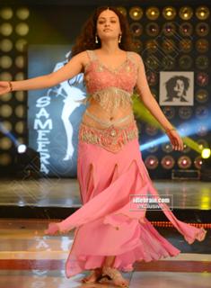 Sneha Ullal feet photo 20