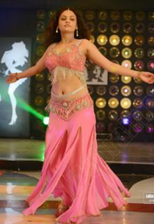 Sneha Ullal feet photo 17