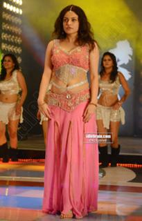 Sneha Ullal feet photo 14