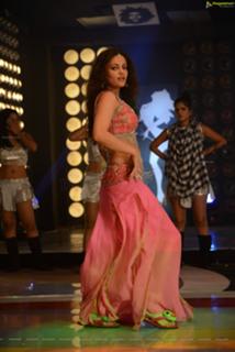 Sneha Ullal feet photo 16