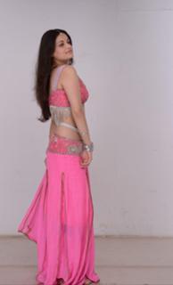 Sneha Ullal feet photo 10