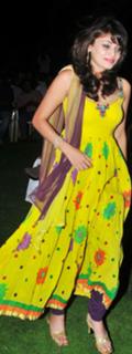 Sneha Ullal feet photo 16