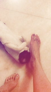 Sneha Ullal feet photo 5