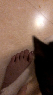 Sneha Ullal feet photo 3