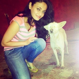 Sneha Ullal feet photo 18