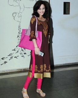 Sneha Ullal feet photo 16