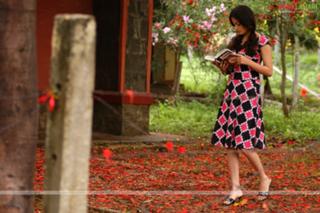Sneha Ullal feet photo 5