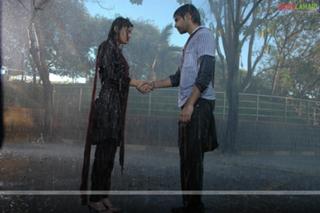 Sneha Ullal feet photo 13
