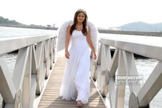 Sneha Ullal feet photo 8