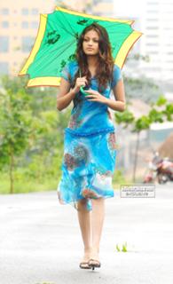 Sneha Ullal feet photo 2