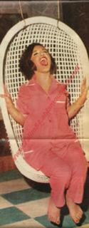 Soad Hosny feet photo 19