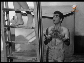 Soad Hosny feet photo 10