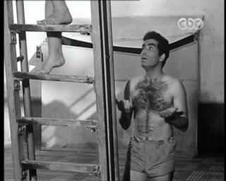 Soad Hosny feet photo 7