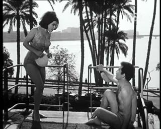 Soad Hosny feet photo 6