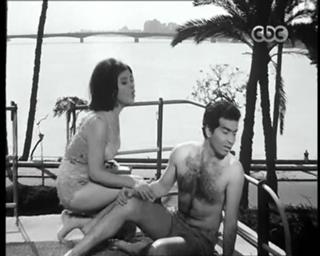 Soad Hosny feet photo 5