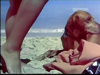 Soad Hosny feet photo 14