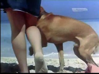 Soad Hosny feet photo 13
