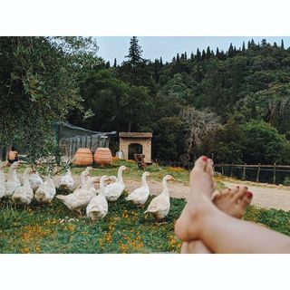 Sobhita Dhulipala feet photo 13