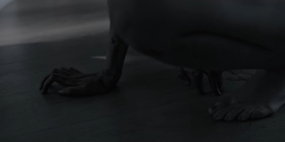 Sobhita Dhulipala feet photo 16