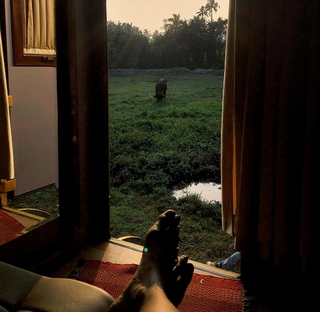 Sobhita Dhulipala feet photo 10