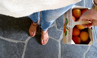Sofi Fahrman feet photo 5