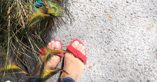 Sofi Fahrman feet photo 12