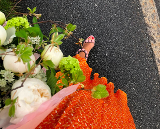 Sofi Fahrman feet photo 8