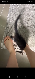 Sofia Espanha feet photo thumbnail