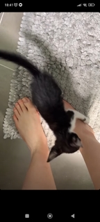 Sofia Espanha feet photo thumbnail