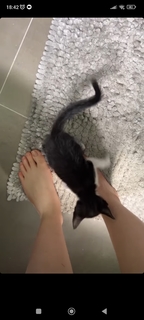 Sofia Espanha feet photo thumbnail