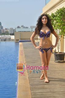 Sofia Hayat feet photo 4