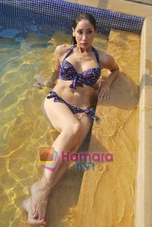 Sofia Hayat feet photo 18