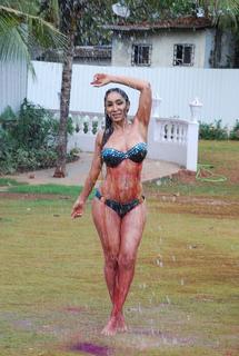 Sofia Hayat feet photo 16