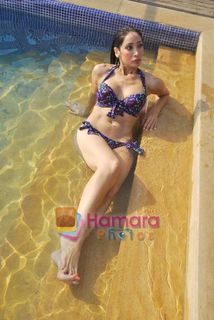 Sofia Hayat feet photo 13