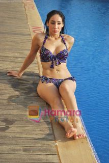 Sofia Hayat feet photo 3