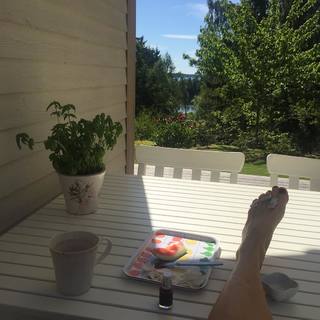 Sofia Helin feet photo 17