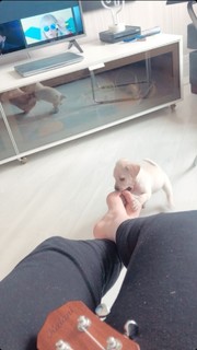 Sofia Santino feet photo thumbnail