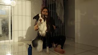 Sofia Santino feet photo thumbnail