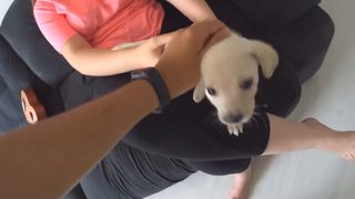 Sofia Santino feet photo thumbnail