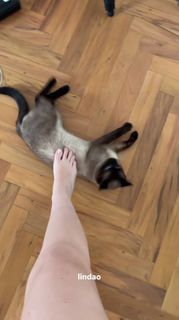 Sofia Santino feet photo 9