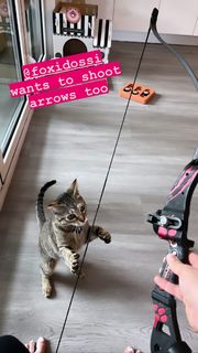 Sofie Dossi feet photo thumbnail