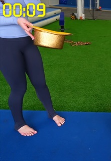 Sofie Dossi feet photo thumbnail