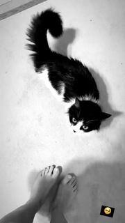 Sofya Plotnikova feet photo 2