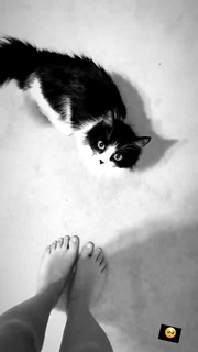Sofya Plotnikova feet photo 1