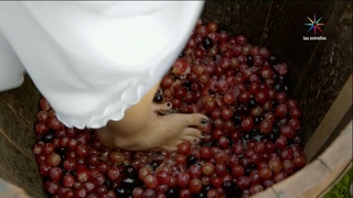 Sofía Castro feet photo 3