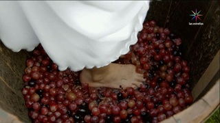 Sofía Castro feet photo 2