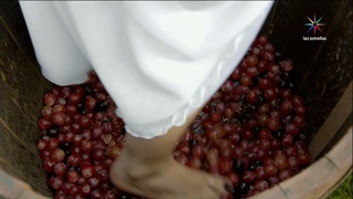 Sofía Castro feet photo 1