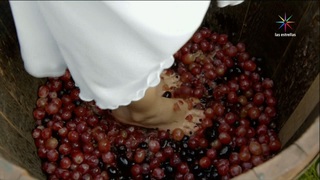 Sofía Castro feet photo 20