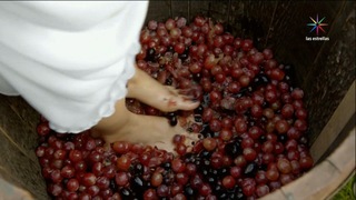 Sofía Castro feet photo 19