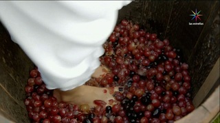 Sofía Castro feet photo 18